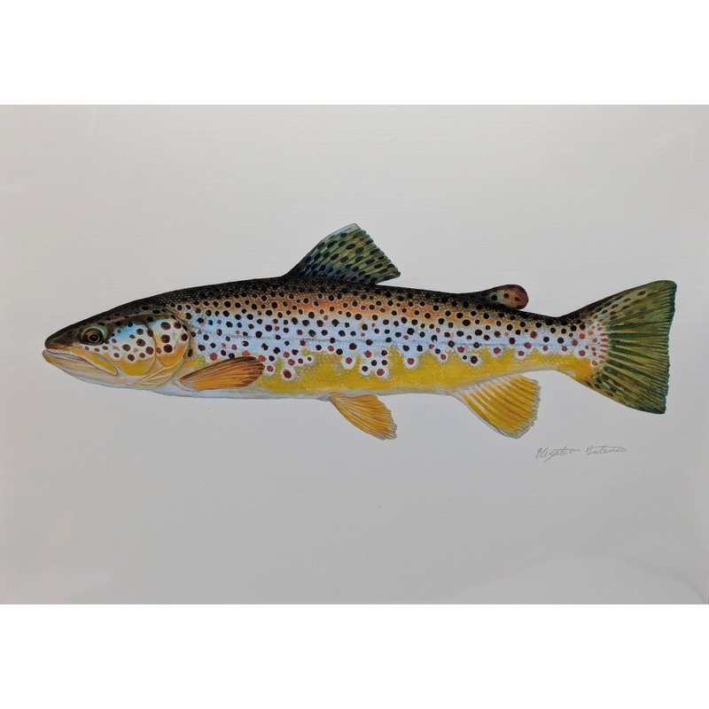 Liz Bateman Art –  Fish Prints
