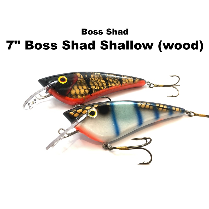 Boss Shad 7 Boss Shad Shallow (wood)