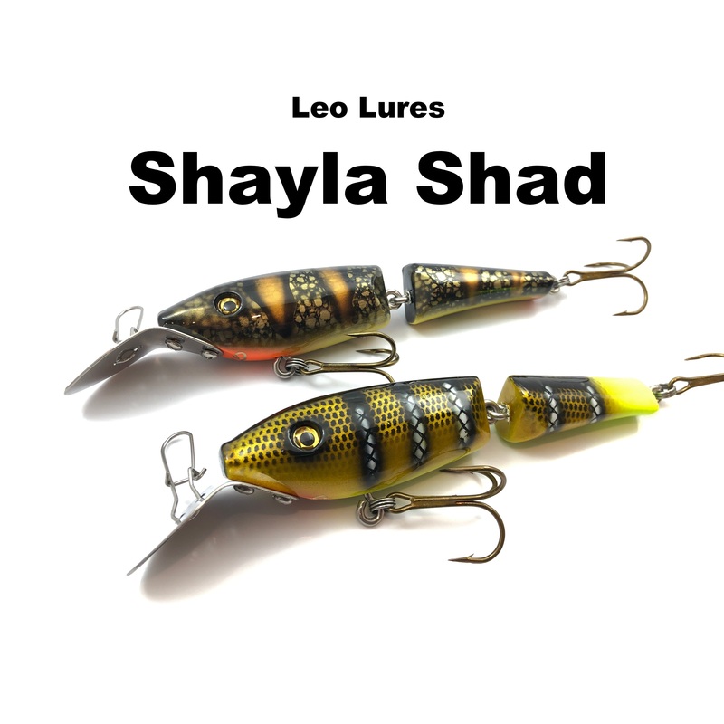 Leo Lures Shayla Shad|Banging Bottom|Black Stone|Chartreuse Holo Perch|Criminal (TRO Exclusive)|Ghost Walleye (TRO Exclusive)|Ice Walleye (TRO Exclusive)|Mud Puppy (TRO Exclusive)|No Name Perch (TRO Exclusive)|Orange Head Perch (TRO Exclusive)|White Shad|