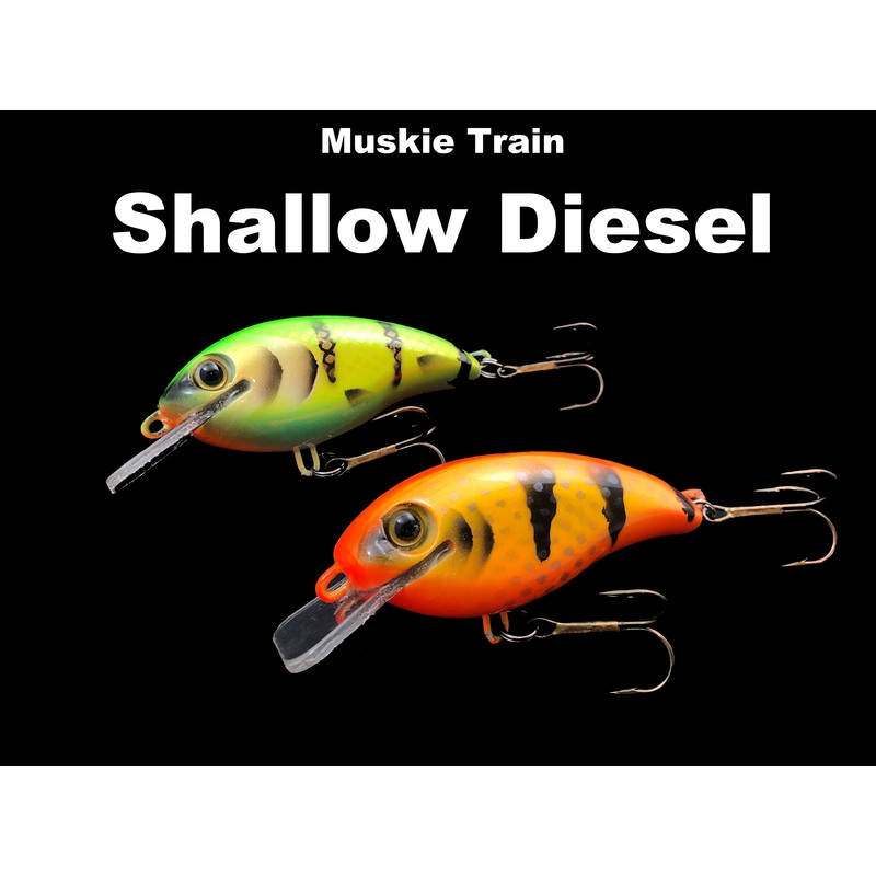 Muskie Train SHALLOW Diesel|Albino Rhino|Ball Buster*|Black Crappie|Blue Shad|Criminal|Fire Perch|Firetiger|Fubar Perch (TRO Exclusive)|Ghost Walleye|Glitter Perch*|Green N Gold Perch|Hanson Bluegill|Ice Cold Perch|Mr T|Olive Perch*|Orange Belly Carp|Oran