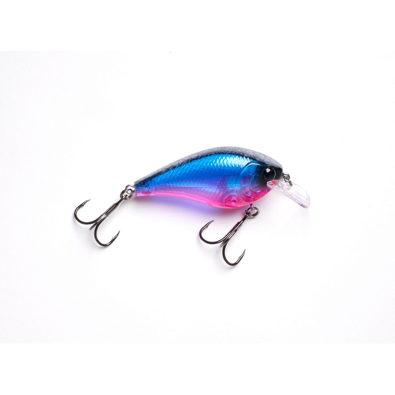Hammerhead Squarebill  Alex Rudd Edition