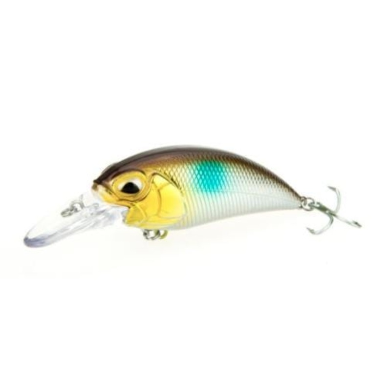 Ultimate Strike Shad|B8Fish|SXY Bone|Lazer Perch