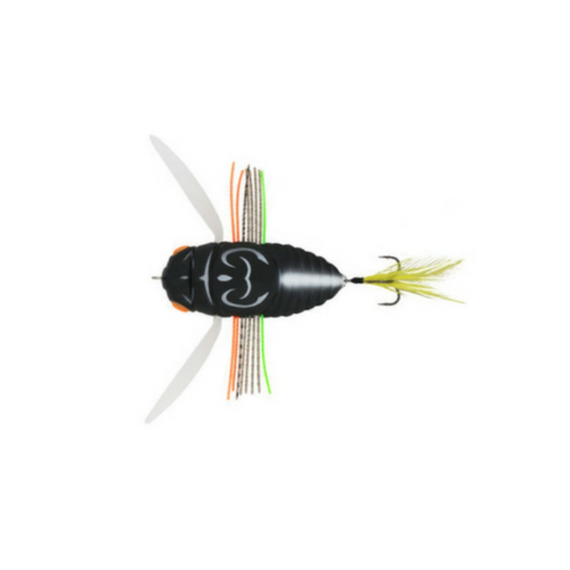 Duo Realis Dekashinmushi|Aburazemi|Tsukutsukuhoushi|Haruzemi|Semigara|Kinkame|Beetle