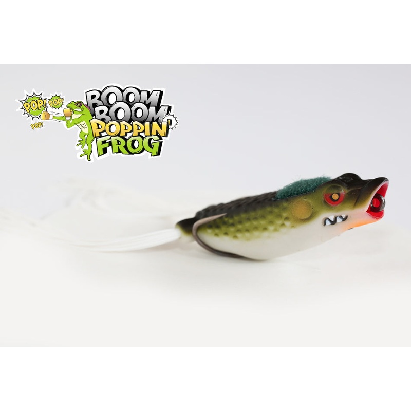 Stanford Boom Boom Poppin – Fred’s Frog