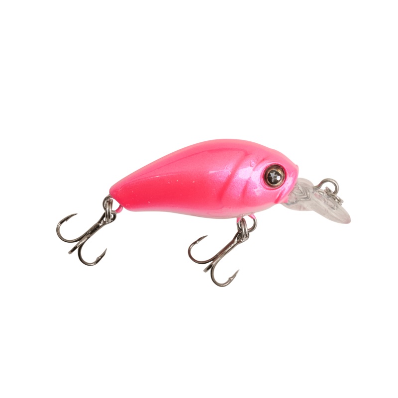 Slabasaurus Rex – 4 Pack