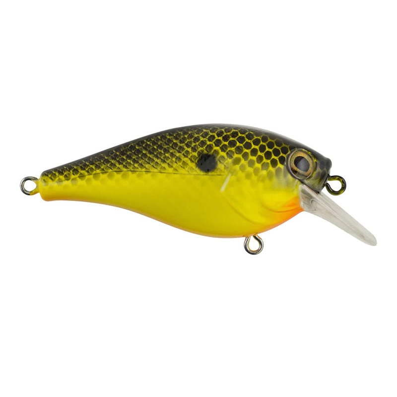 Berkley Squarebull Crankbait|Big Money|Black Chartreuse|Black Silver|Blue Black|Blue Shad|Chameleon Pearl|Ghost Morning Dawn|Gilly|Green Shad|Sexier Shad|Special Red Craw|Spring Craw|Vintage Craw|Ghost Red Craw|Firetail Green Craw|2 in. (1/4 oz)|2 3/8in.