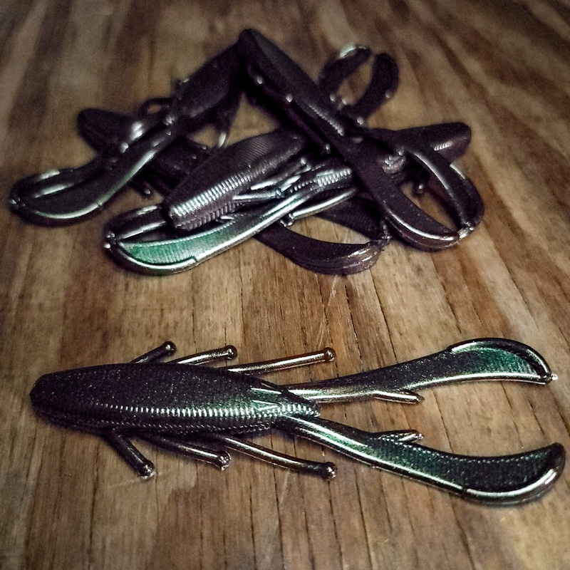 VooDoo Avocado Wine Color Shifting Hammer Beetle (6pk)