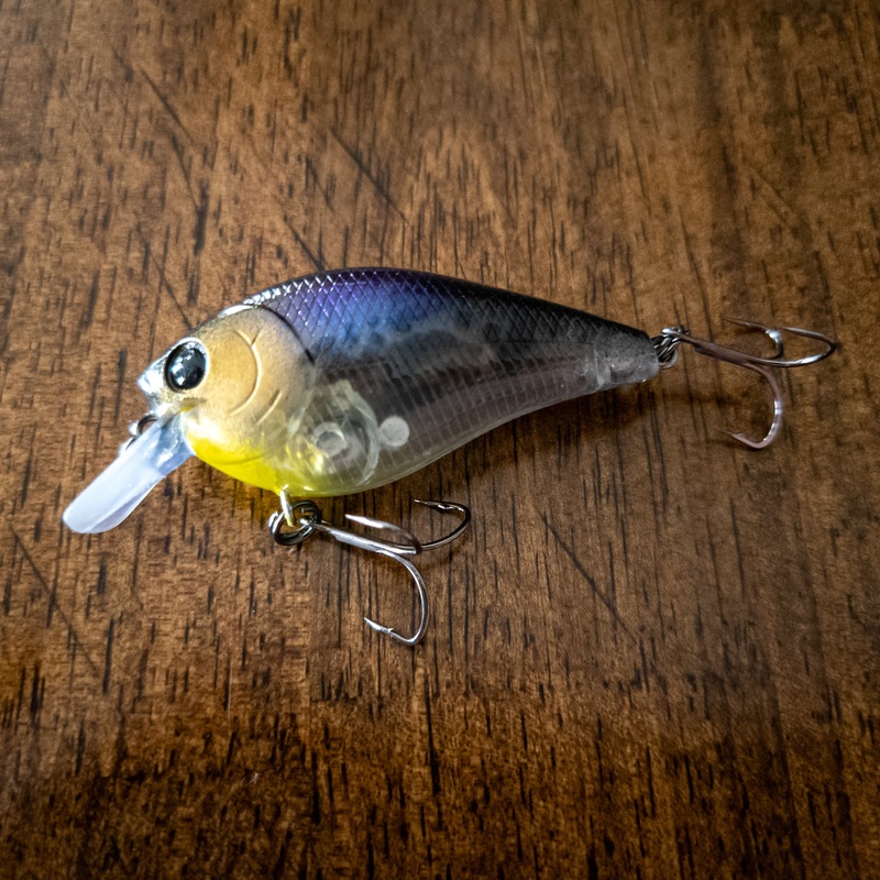 Midnight Blue Shad 1.5 Square Bill