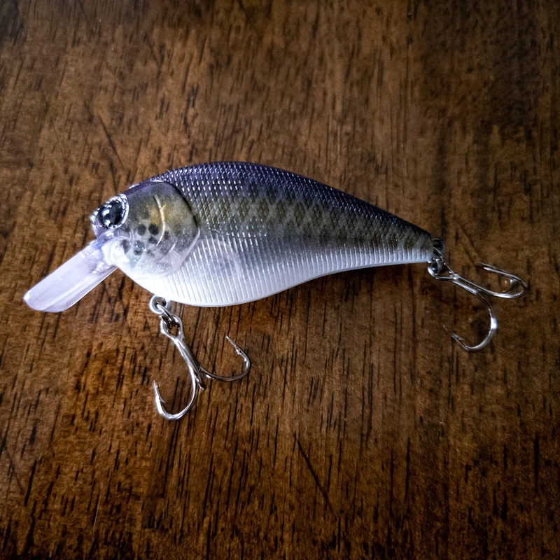 Sexy Shiner 2.5 Square Bill