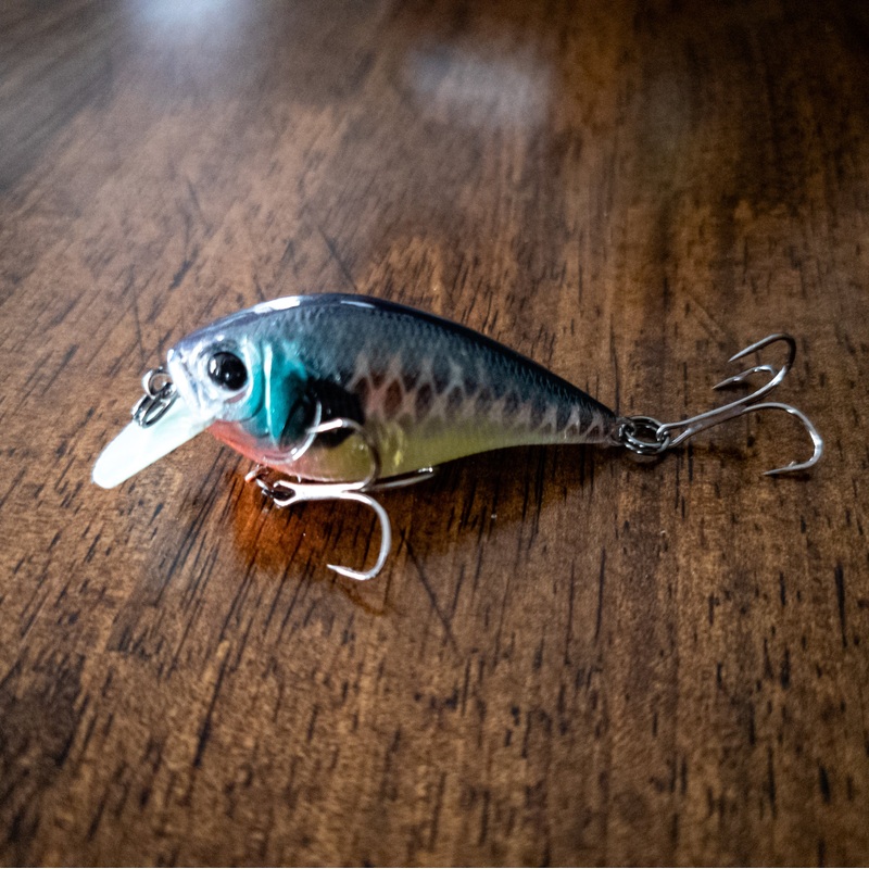 Spring Gills Jr. Crankbait