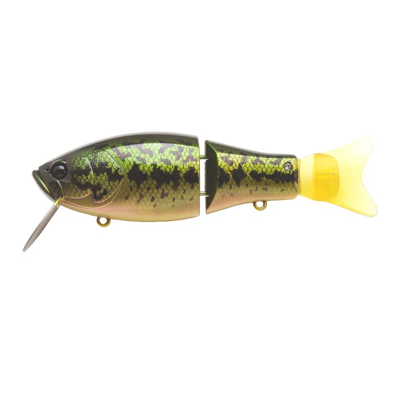Raid Japan G.I|Black BB|Chi GIll|Clown|Frogman|Lemon Power|Pearly Chart|Pearl Shad|Pink Trick|Real Kinkuro|Shimanashi Tiger|Sikkoku