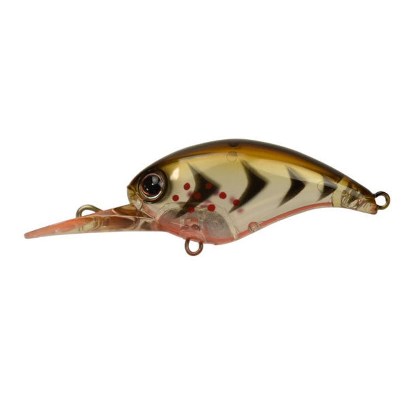 D Style Crawl Up|BO Craw|White Shad