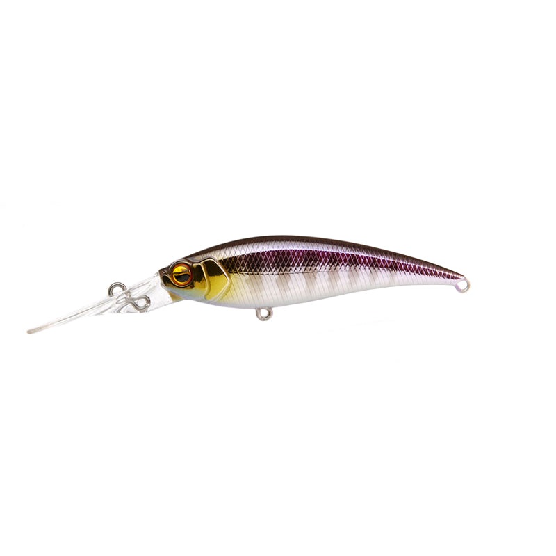 Raid Japan Level Shad Sprinter 68MR