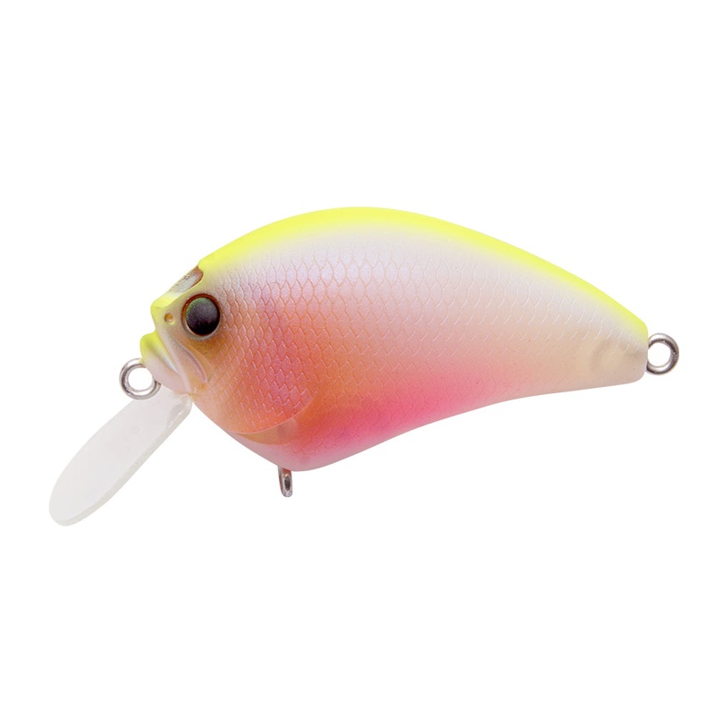 Megabass IxI Blowly|Baby Kingyo|Black Back Chart|Blue Back Chart|GC Megabass Kinkuro|GG Bass|GG Wakasagi|Gillkko|IK Strong Chart|Ito Cichlid|Kasumi Ito|Mat Tiger|Megabass Bream|PM Sexy Shad|Pumpkin Seed|Secret Dry Ice|Secret Truffle|Wild Craw