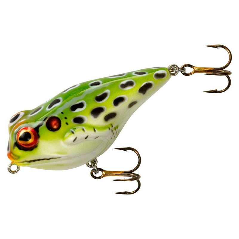Rebel Frog R|Leopard Frog|Swamp Frog