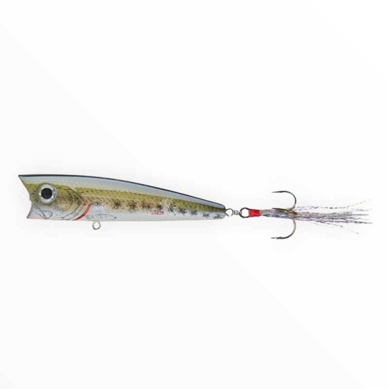 Rebel Super Pop-R|Baby Bass|Blue Darter|Silver Shiner|Sun Perch