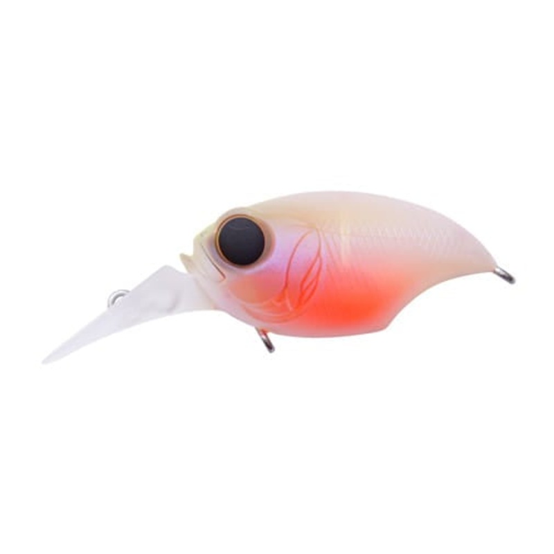 Megabass Griffon|MR-X|SR-X|Baby Kingyo|DD Gill|GLX Double Chart|Kasumi Ito|Killer Pink|Mat Co Chart|Wild Craw|DO Chart|Kasumi Magic