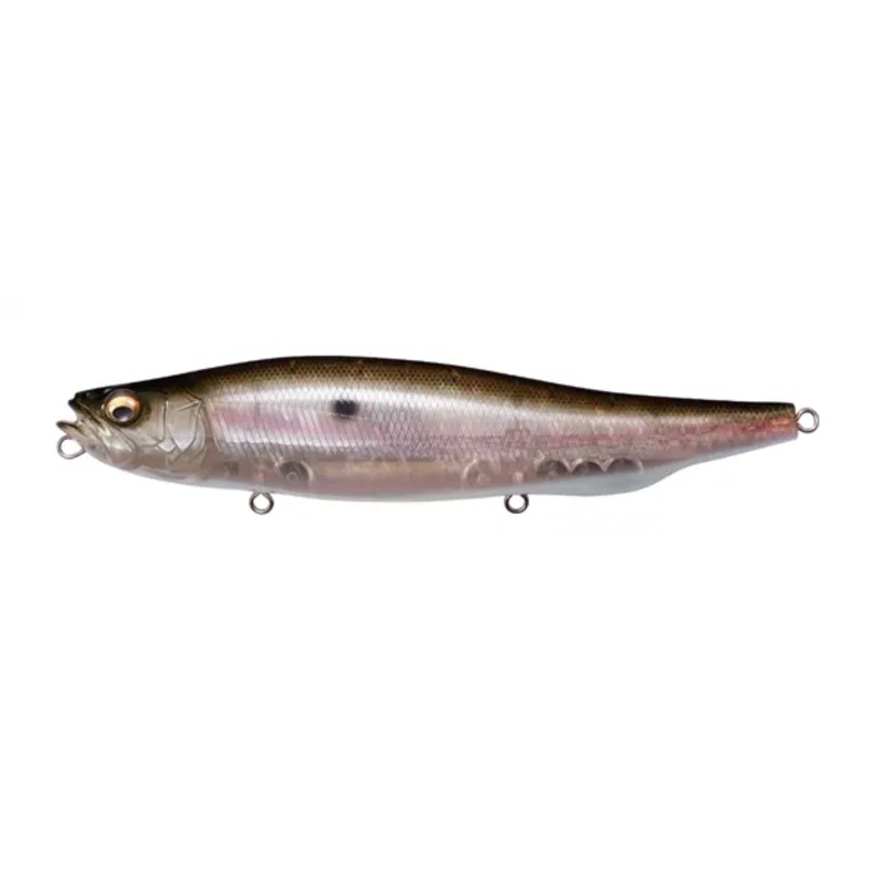 Megabass Megadog Topwater|Iwashi*|Konoshiro*|Live Shiner|Mat Rainbow|MB Gizzard|Sexy French Pearl|Shintaro Natural|Stealth Rainbow*|Wagin Konoshiro Indicator*|Wakin Ochi AYU*