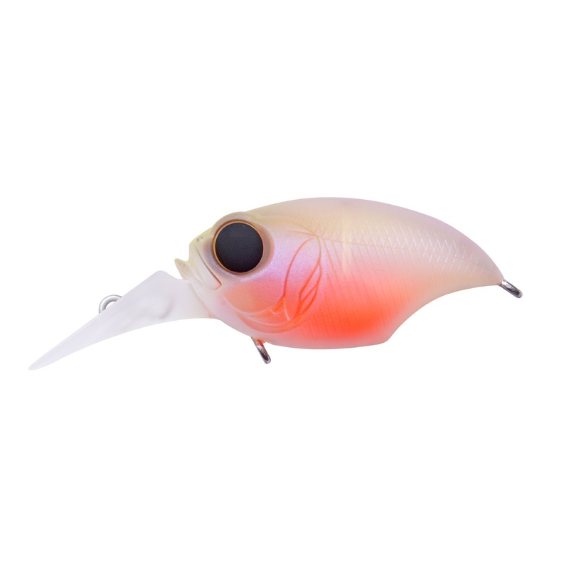 Megabass MR-X Griffon|Baby Kingyo|Black Back Chartreuse|DD Bass|DD Gill|Eight Reaction|GC Megabass Kinkuro|GG Moroko|Gillko|GLX Double Chartreuse|Kasumi ITO|Kasumi Magic|Killer Pink|Mat CO Chartreuse|Mat Tiger|Megabass Bream|SG Skeleton AYU|Wild Craw