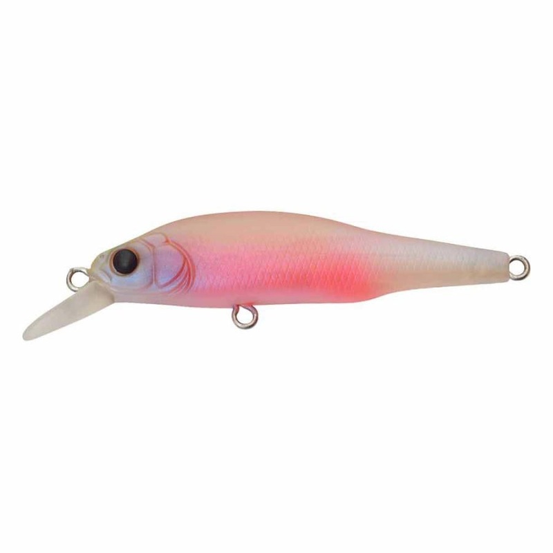 Megabass X80 Jr (BFS)|Baby Kingyo|Elegy Bone*|French Pearl OB|GG Shad|GLXS Spawn Cherry|GP Invisible Wakasagi*|GP Pro Green|Hachiro Reaction|HT ITO Tennessee Shad|ITO Clear Laker*|MG Vegetation Reactor|Shigyo*
