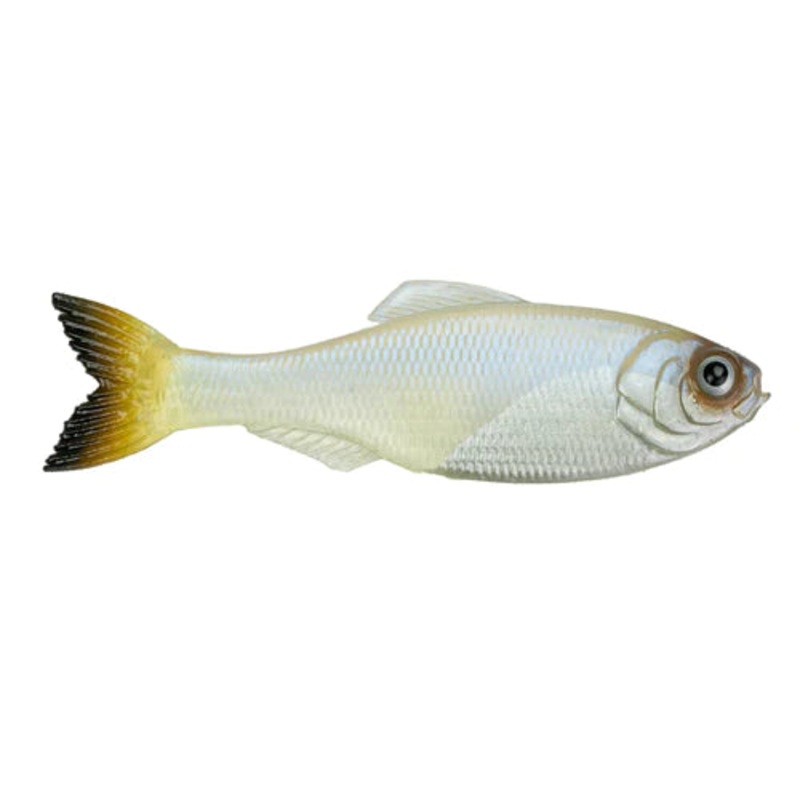 6th Sense Panorama 2.8 (8 Pk)|Clearwater Shad|Ghost Minnow|Ghost Pro Shad|Live Bluegill|Live Crappie|Live Minnow|Live Shad|Live Sunfish|4K Shad