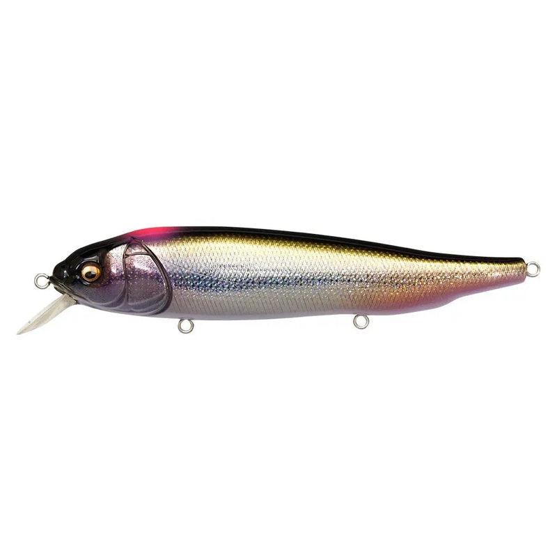 Megabass LATES FeedingWoofer|DD Indicator Shiner|DD Silver Shad|FA Kawamutsu|GG Hasu Red Eye|GG Kinkuro Perch|GP Aurora Gill|HT Wakasagi|ITO-Kinari|PM Waka AYU|Wagin Oikawa