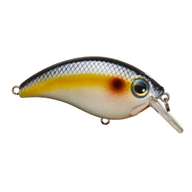 Bill Lewis ATV Squarebill 1.5|Bluegill|Chartreuse Shiner|Fire Craw|Ghost Minnow|Green Gizzard|Green Pumpkin Craw|Guacamole|Oyster|Purple Nurple|Red Glitter Craw|Rootbeer Craw|School Bus|Smallie Magic|Sneaky Shad|Tennessee Shad|Threadfin 2.0