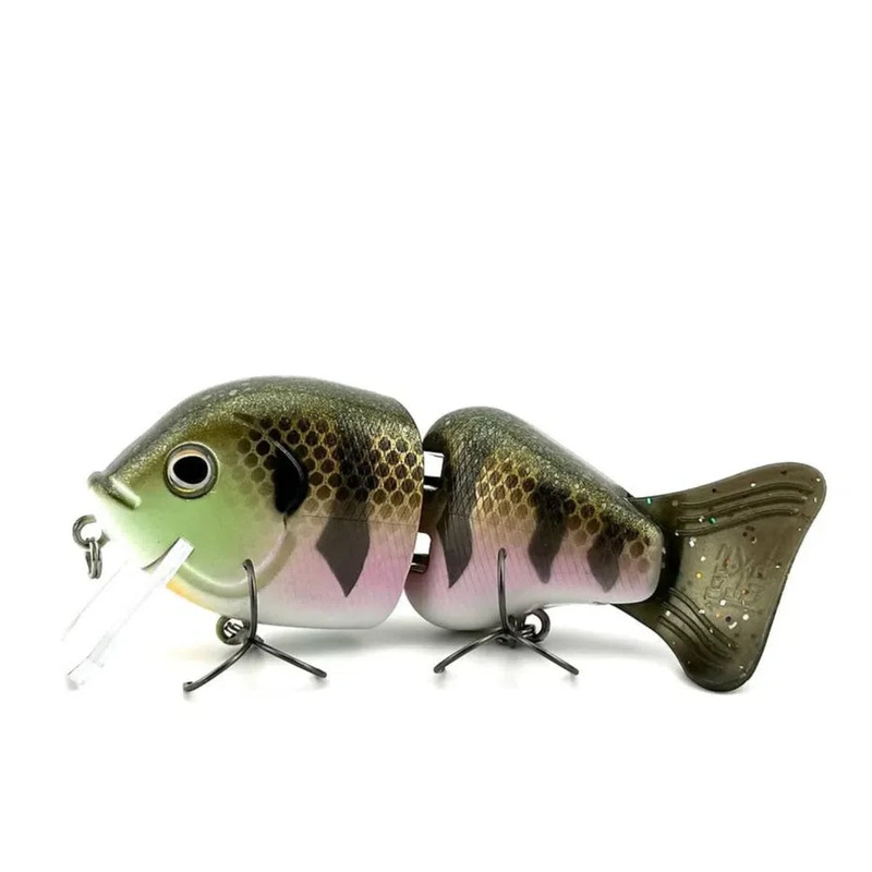 Toxic Baits 5 ABS Wade Hoggs Jr.