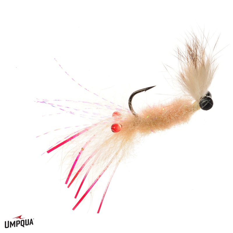 Umpqua Lexo’s Pop Up Shrimp|Tan|Brown|white|04
