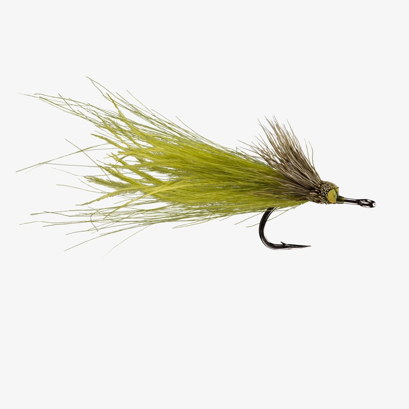 Rio Dread Pirate|Tan|Rust/Olive|Chartreuse|Purple/Pink|Olive