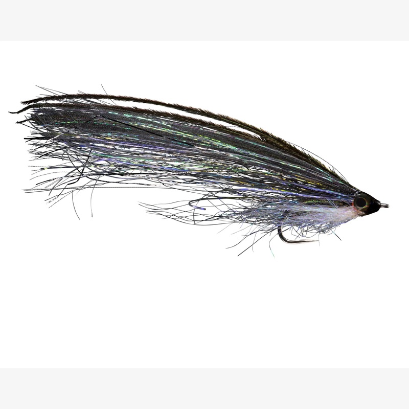 Rio Pipe Eel|Olive|Black