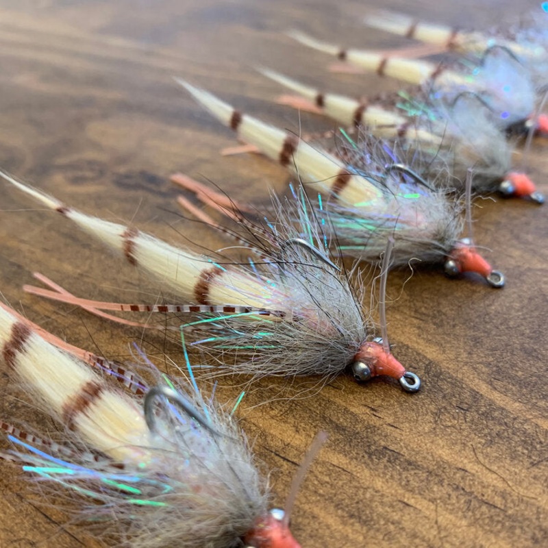Sight Cast Skinny Cracklin|Black/Purple|White/Sand|Tan/Sand|Brown/Rust|Olive/Chartreuse/Tan|Shrimp Pink/Sand
