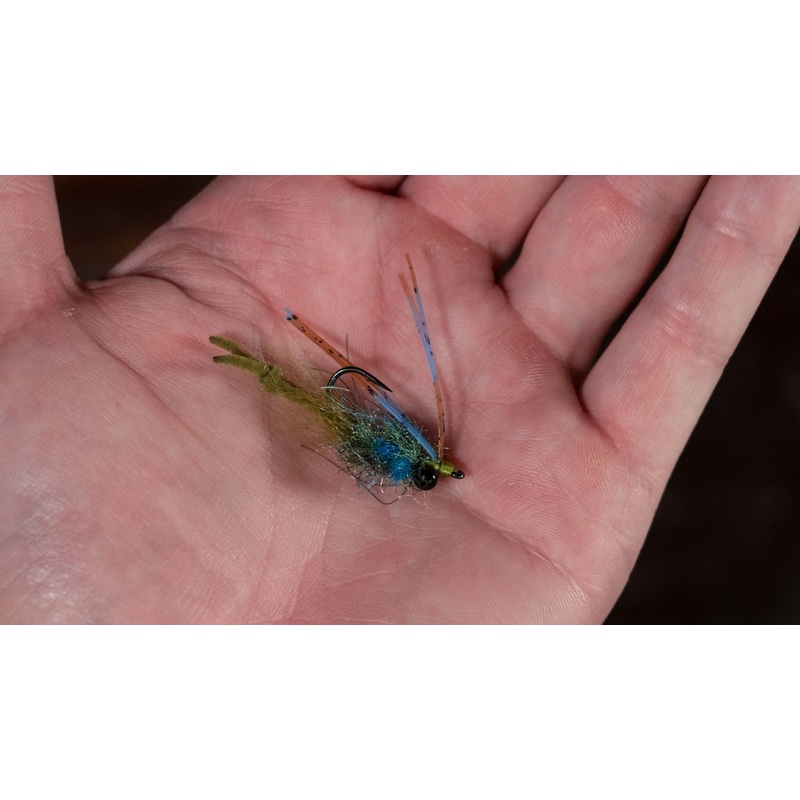Mac Flies My Boy Blue!|Tan/ Blue|Olive/ Blue|Black/ Purple|Tan/ Orange Claw|Black/ Chartreuse|2|4