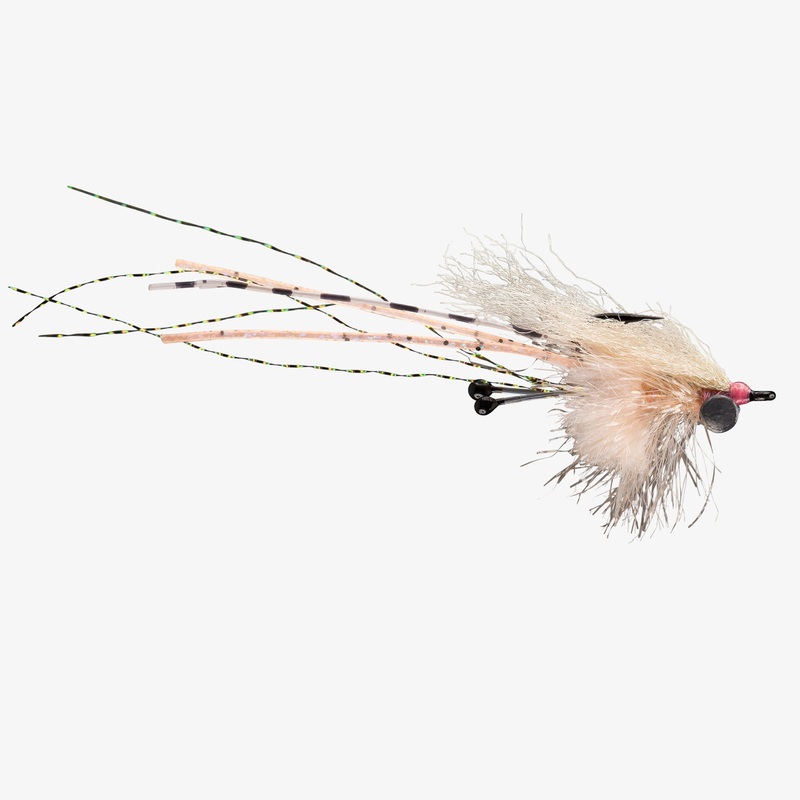 Rio Carpet Shrimp|Pink|Orange