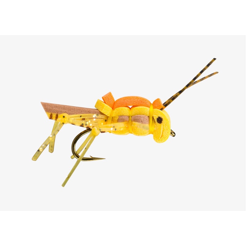 RIO Juicy Hopper|Gold|Olive|Purple|10|12