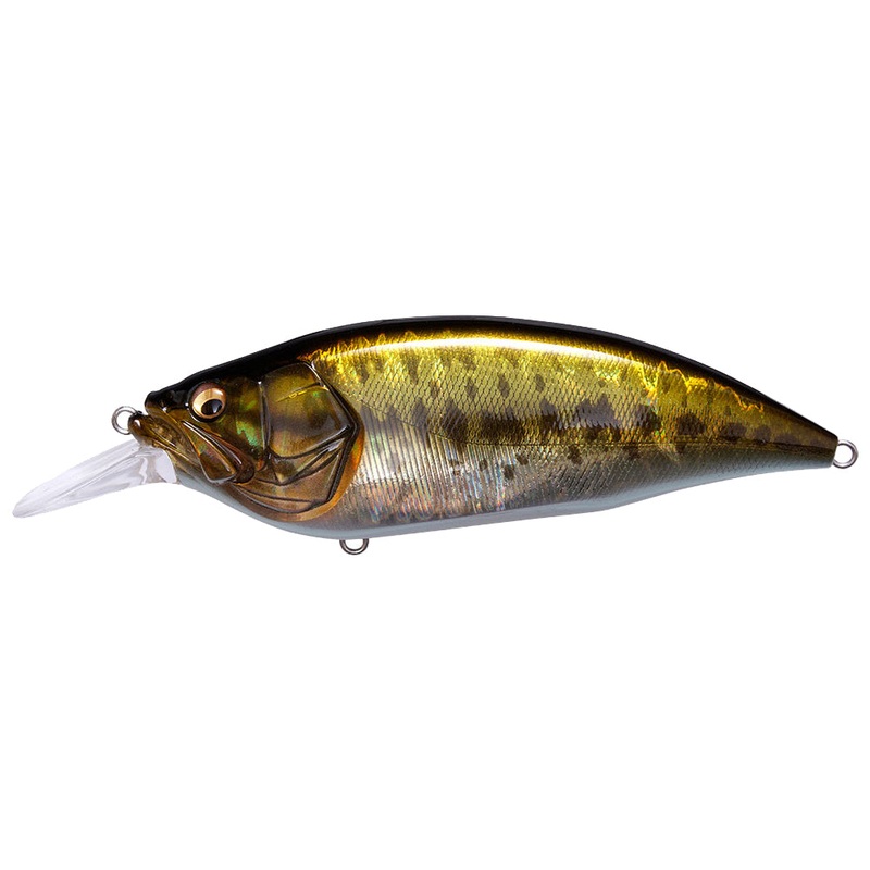 Megabass Big-M 4.0 Lure|GG LARGEMOUTH|GP SPAWN KILLER|PM STRIKE CHART|WAGIN HASU BM|RACING BLACK