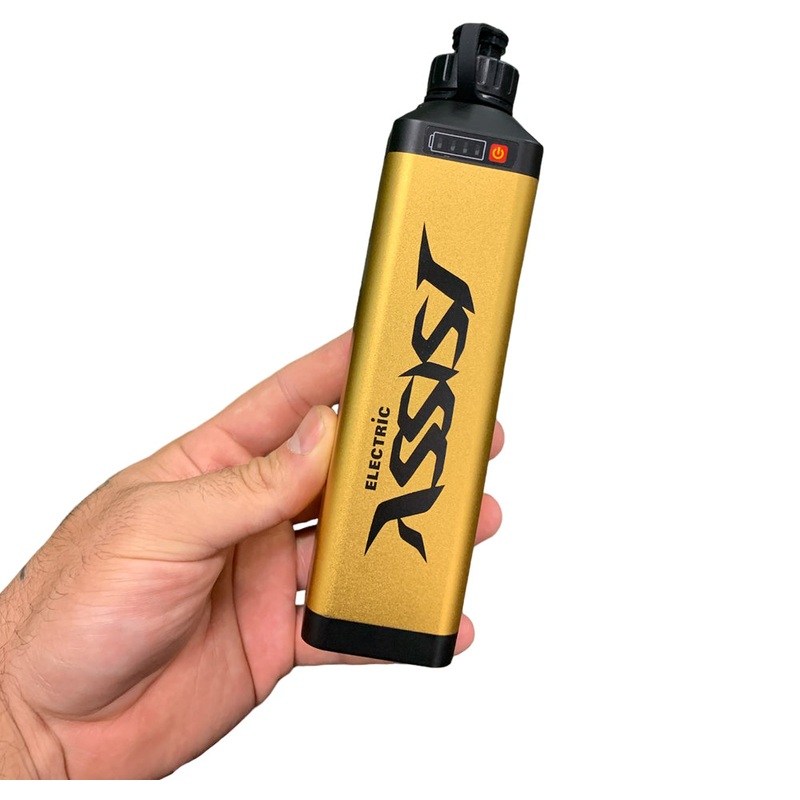 Wilson Electric Assist Battery 10Ah (Battery Only)