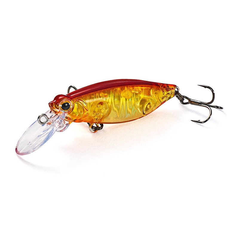 Jackson Resist 45mm Floating Hard Body Lure