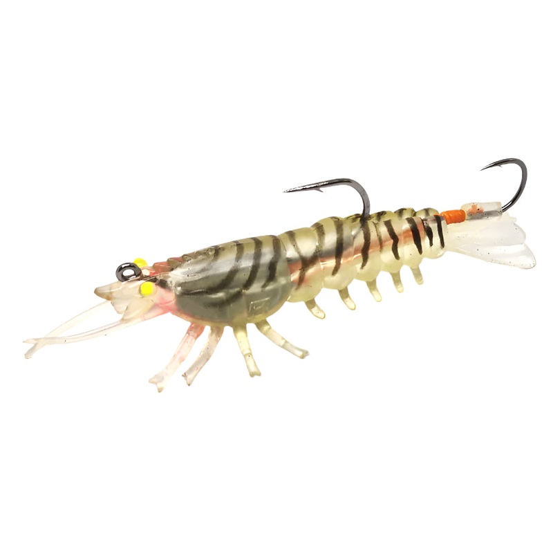 Barambah Stinger Shrimp 55F|Ghost Shrimp|Pink Eye Shrimp|Chernobyl|Tiger Prawn|Whitey