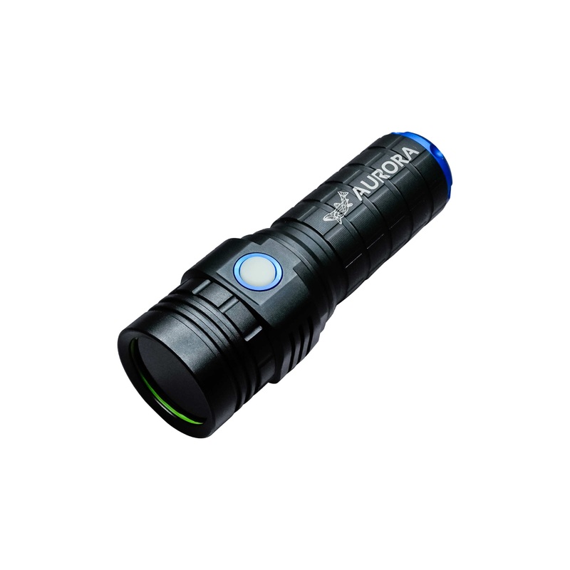 Large UV Flashlight